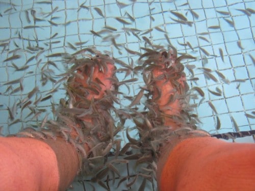 my-feet Langkawi Anjung Spa