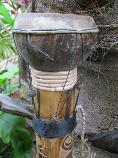 coconut-drum The Humble Coconut