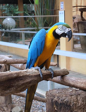 bird-park