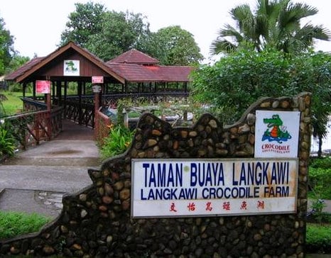 crocodile-farm