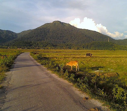 gungung-raya