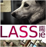 lassie