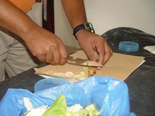 fine_chopping