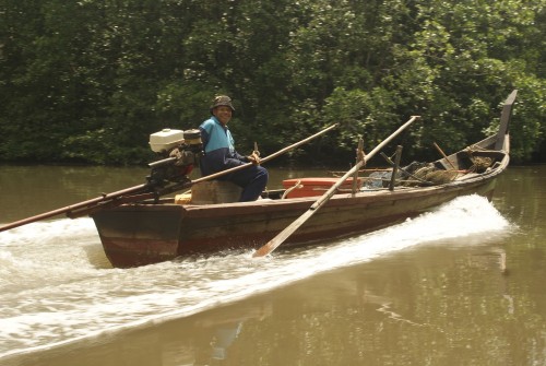 Dev's Adventure Tours: Mangrove Tours in Langkawi, Malaysia