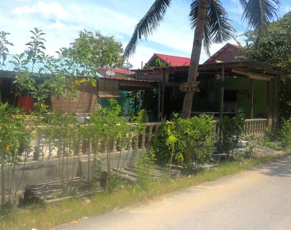 Choosing Langkawi Homestays or Kampung Stays