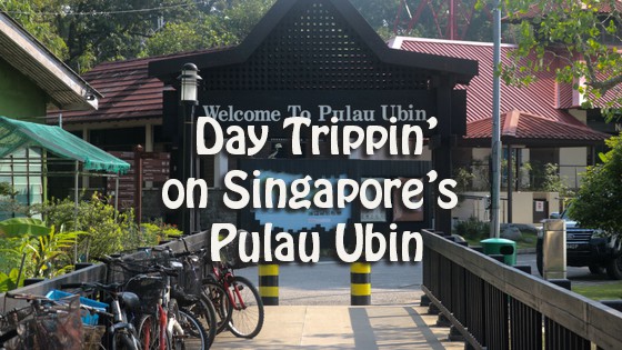 Pulau Ubin Guide To Singapore S Unique Island Paradise