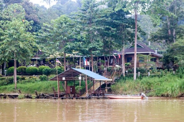 3 Unique Places To Stay In The Jungles Of Sabah - The Island Drum