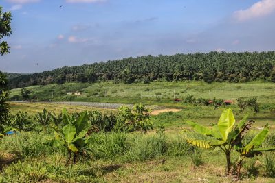 Selangor Fruit Valley Agro Adventure, Good Old-Fashioned Fun