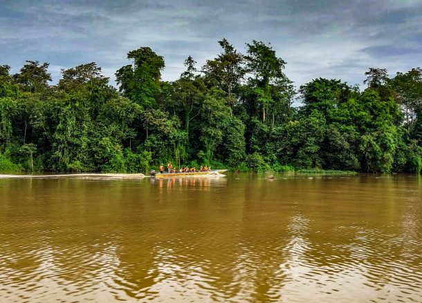 5 Unique Things to Do in the Jungles of Kinabatangan, Sabah