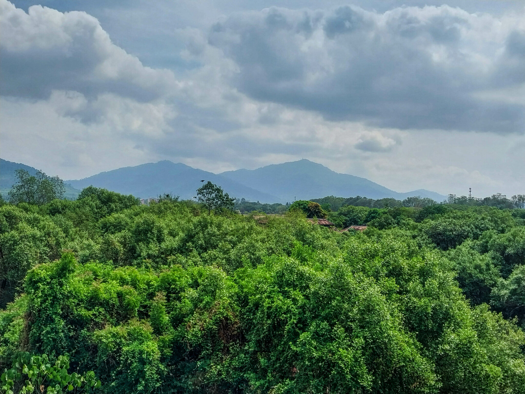 Climbing Gunung Raya's Eagle Stairs 2024 - The Island Drum